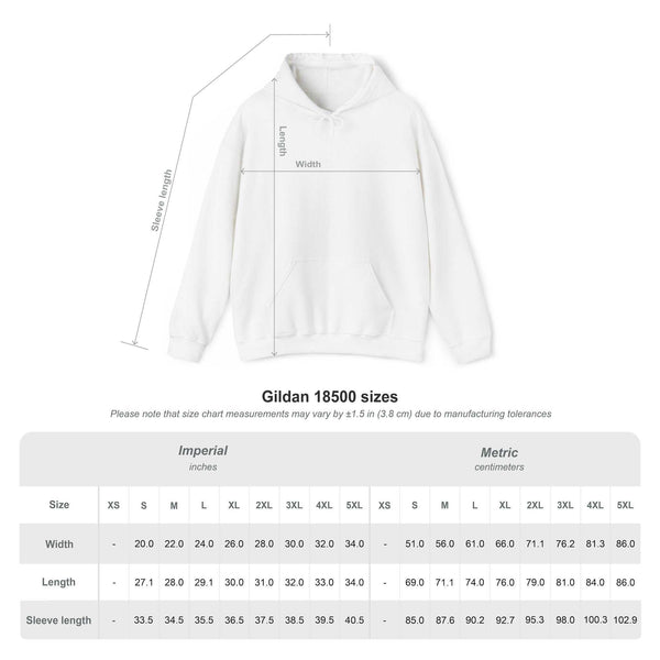 Hoodie — "Game Day Babe" Graphic Hooded Sweatshirt (Black Widow Performance)